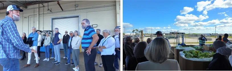 High-tech lettuce production at TKM Bengard Farms in Belle Glade, Florida